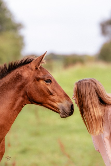 0A8A3191 Modifier Moyenne